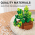 10 Pack Set 990 Sawaruita Succulent Mini Plant Building Blocks for Adults - Pcs Flower Botanical Collection Home Office