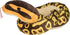 Wild Republic 54" Ball Python Snake Plush Stuffed Animal Toy, Gifts for Kids