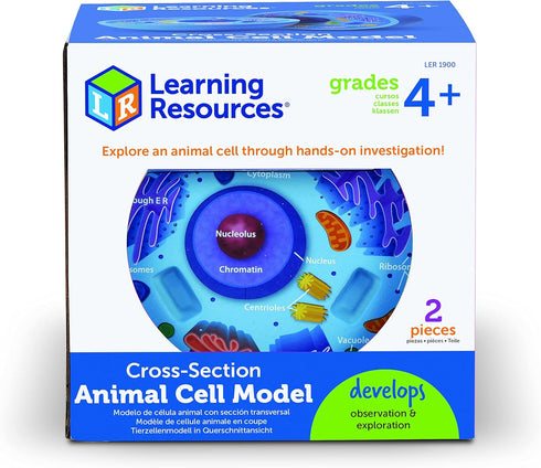 Learning Resources Cross-Section Animal Cell Model, Soft Foam, Early Biology Teaching Aid, Grade 4+