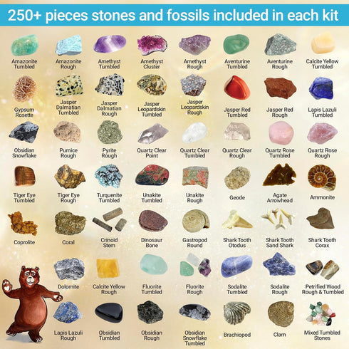 (250 Set) DANCING BEAR Rock, Mineral & Geodes Treasure Hunt Activity Kit Pc Real Shark Teeth Fossils, ID Sheet & Rock