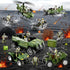 HOSPONY 78-in-1 Sets 4-7 6-8 8-14 Army Men Toys with Realistic Military Truck/Helicopter/Kayak Boat/Motorcycle/Army Men