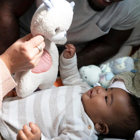 Ingenuity Premium Soft Mini Bean Bag Plush, Nate The Teddy Bear, Ages Newborn and Up