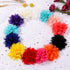 30pcs Baby Girls Alligator Hair Clips, Chiffon Flower Hair Barrettes Accessories for Kids Toddler Teens