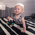 Baby Einstein Curious Car Zen Oball Toy Car & Rattle, Light Up, Ages 3 Months+, Zen The Zebra