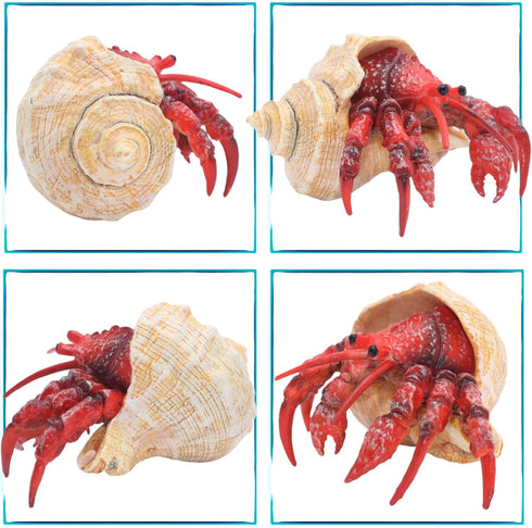 Gemini&Genius Hermit Crab Action Figure Toy, Under The Sea Life Figure Educational Gifts for Kids Animal Lovers