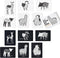 Wee Gallery Art Cards for Baby - Durable High Contrast Black and White Animal Flashcards for Newborns