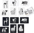 Wee Gallery Art Cards for Baby - Durable High Contrast Black and White Animal Flashcards for Newborns