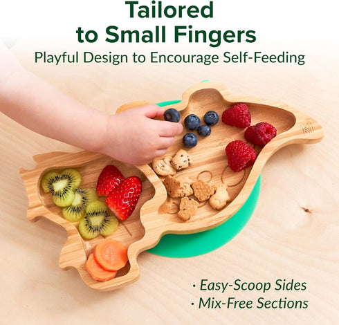 Bamboo Divided Suction Plates for Baby: Strong Non-toxic Eco-Friendly Materials - Dinosaur Design for Toddlers