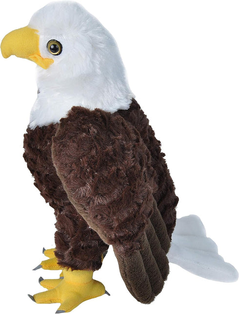 Wild Republic Cuddlekins Bald Eagle Plush Toy, 12 Inches Stuffed Animal Gifts for Kids