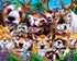 MasterPieces Selfies 4-Pack Kids Jigsaw Puzzles, Silly Animal Selfies for Ages 6 & Up