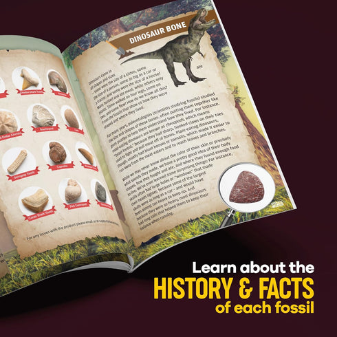 Real Fossil Dig Kit for Kids, Mega Science Kits for Boys & Girls Age 8-12, Birthday Gift Ideas for Ages 8-13