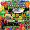 NANAGALI Hey One Bear Sensory Fruit Birthday Decorations - Dancing Fruit 1st