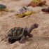 Liberty Imports 12 Piece Miniature Sea Turtle Animal Toys - Hand Painted Tortoise Figurines for Kids Party Favors