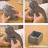 HJPLPXH Set (2903 Animal Cat Adorable Pet Blue Cat Micro Building Blocks Pieces) with Secret Hidden Storage Box Inside!