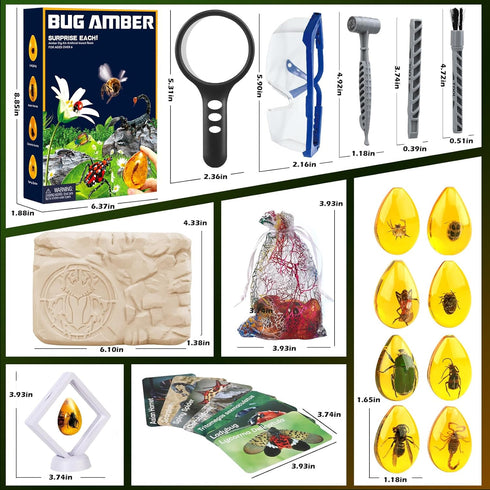 Amber Dig Kit - Insects in Resin, 8 Insects Specimens Excavation Kit for Kids Birthday Gifts