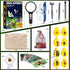 Amber Dig Kit - Insects in Resin, 8 Insects Specimens Excavation Kit for Kids Birthday Gifts