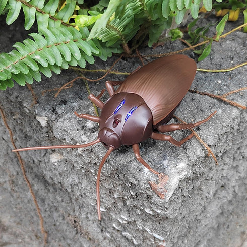 Tipmant RC Cockroach Remote Control Car, Realistic Big Insect Toy with Glowing Eyes for Kids