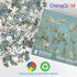 1000 Piece Puzzle for Adults - Almond Blossoms by Van Gogh - Famous Oil Painting Jigsaw Puzzles 1000 Pieces