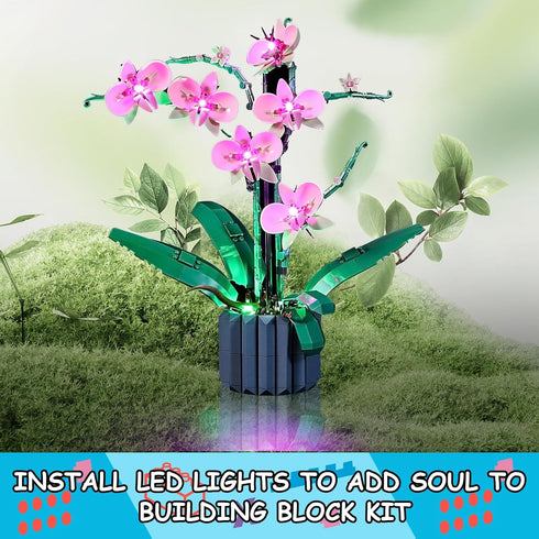 LED Light Kit for Lego 10311 Orchid Plant Decor Set, Compatible with Lego 10311 Building Blocks