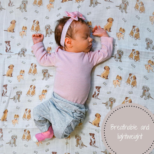 100% 47 47 Inches LollyBanks Baby Blanket, Cotton Muslin Swaddle Blankets for Boys and Girls, Large x Infant Receiving