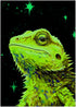 Art of Socks 1000 1000pc (50x70cm 19.685"x27.559") Starry Night Bearded Dragon Jigsaw Puzzle Pieces for Adults - Glow