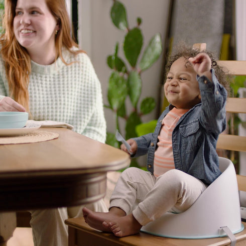 3-Point Ingenuity: ity by Ingenuity Simplicity Seat Easy-Clean Baby Booster Feeding Chair, Harness, Washable Removable