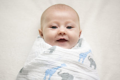 SwaddleDesigns Marquisette Receiving Swaddle Blanket, Blue Safari Fun, Soft Cotton Muslin for Babies