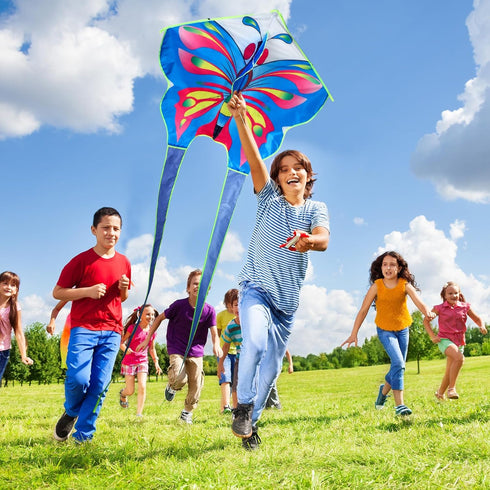 Poen 12 Pcs Butterfly Dragonfly Kites 3.28 ft with 164ft String - Large Easy to Fly Beach Kites for Kids Outdoor