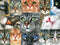 Buffalo Games - Irina Garmashova-Cawton - Cats Close-up - 750 Piece Jigsaw Puzzle for Adults | Perfect for Game Nights,