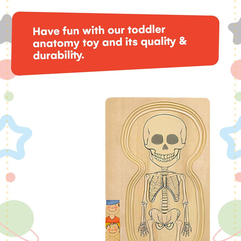 Kidzlane Boy Wooden My Body Puzzle, 29 Piece Boys Anatomy Puzzle for Kids Ages 3+
