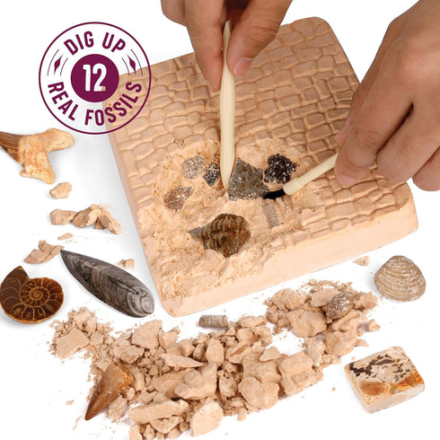 Real Fossil Dig Kit for Kids, Mega Science Kits for Boys & Girls Age 8-12, Birthday Gift Ideas for Ages 8-13