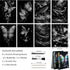 Glow in The Dark Scratch Art Rainbow Painting Paper 8 Sheet with Pen, Engraving Landscape Scratchboard (A4) for Kids