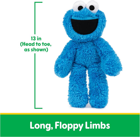 Cookie Monster Take Along Buddy Toy