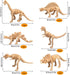 PPXMEEUDC 48PCS Dinosaur Fossil Skeleton Dinosaur Skeleton Toys Dino Sand Dig Party Favor Decorations