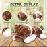 10") Plushland Realistic Stuffed Animal Toys Puppy Dog, Holiday Plush Figures for Kids, Babies to Play with (Bulldog
