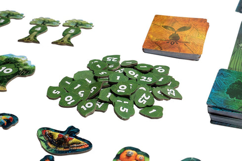 Canopy Card Game - Fast and Fun Gameplay with 25 Unique Rainforest Species, Solo or Multiplayer for Ages 8+