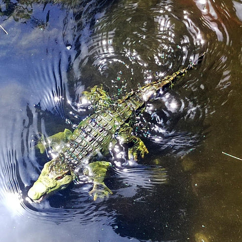 Swimming Tipmant Realistic RC Crocodile Remote Control Fish Boat Electric Animal Water Toy for Pool Lake Kids Birthday