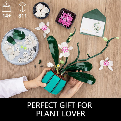 JOJO&Peach Orchid Bonsai Building Set, 811 Pieces Botanical Collection for Home or Office Gifts