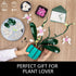 JOJO&Peach Orchid Bonsai Building Set, 811 Pieces Botanical Collection for Home or Office Gifts