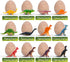 DoDoMagxanadu Dinosaur Eggs Excavation Kit - 12 Dino Eggs for Boys, STEM Party Favors for Ages 3-7+