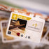 IELLO: Ancient Knowledge - Strategy Card Game, Tableau Building for Ages 12+, 2-4 Players, 30 Min Per Player