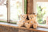Steiff Ben Teddy Bear, Beige, Small Premium Stuffed Animal Plush