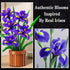 Set 808PCS CUBIMANA Flowers Botanicals Iris Building - Mother's Day Artificial Purple Bonsai Plant for Home Office