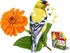 Madd Capp Puzzles - I AM Goldfinch - 300 Pieces - Multi Animal Shaped Jigsaw Puzzle