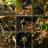 18 Pcs Special Forces Army Men Soldier Combat Movable Action Figures with Military Weapons and Accessories