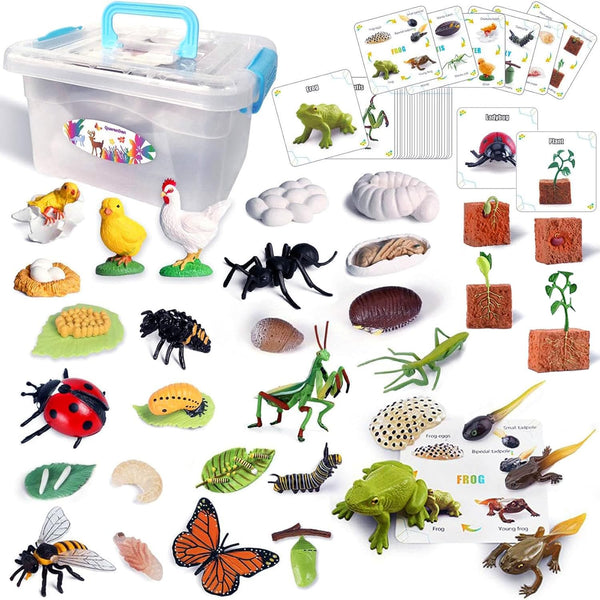 QuarenDen Life Cycle Animal Kit, 33 PCS, Montessori Toy, Realistic Figurine Set, Kids