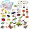 QuarenDen Life Cycle Animal Kit, 33 PCS, Montessori Toy, Realistic Figurine Set, Kids