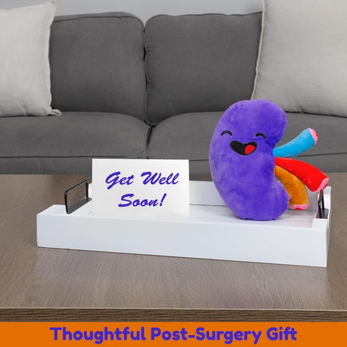 Plush Kidney Stuffed Body Organ Toy for Get Well Gift, Health Education and More