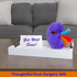 Plush Kidney Stuffed Body Organ Toy for Get Well Gift, Health Education and More