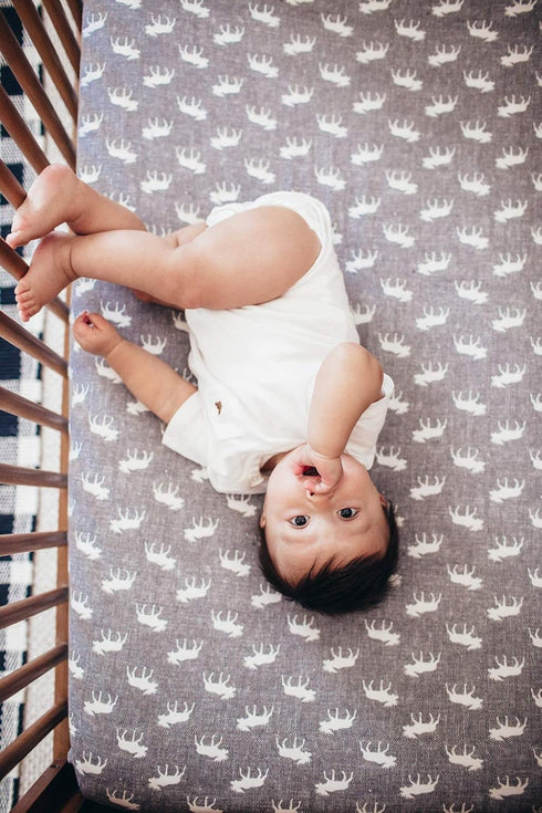 Trendy Knit Crib Sheet/Toddler Sheet in Scout by Copper Pearl